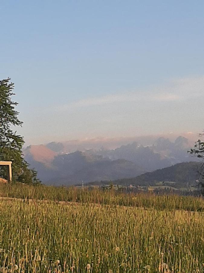 Villa Krzesanica Czarna Góra Exteriér fotografie