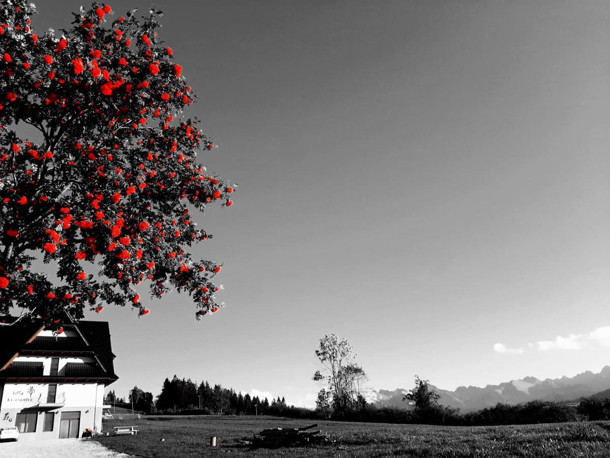 Villa Krzesanica Czarna Góra Exteriér fotografie